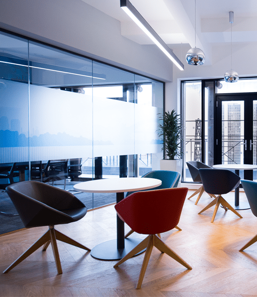 office plant in boardroom