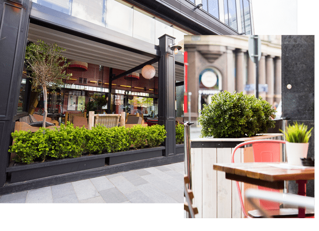 Exterior Hedging and troughs