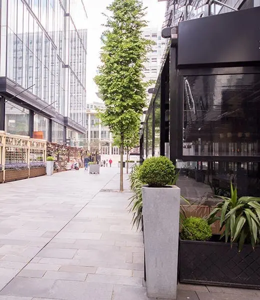 image feature spinningfields