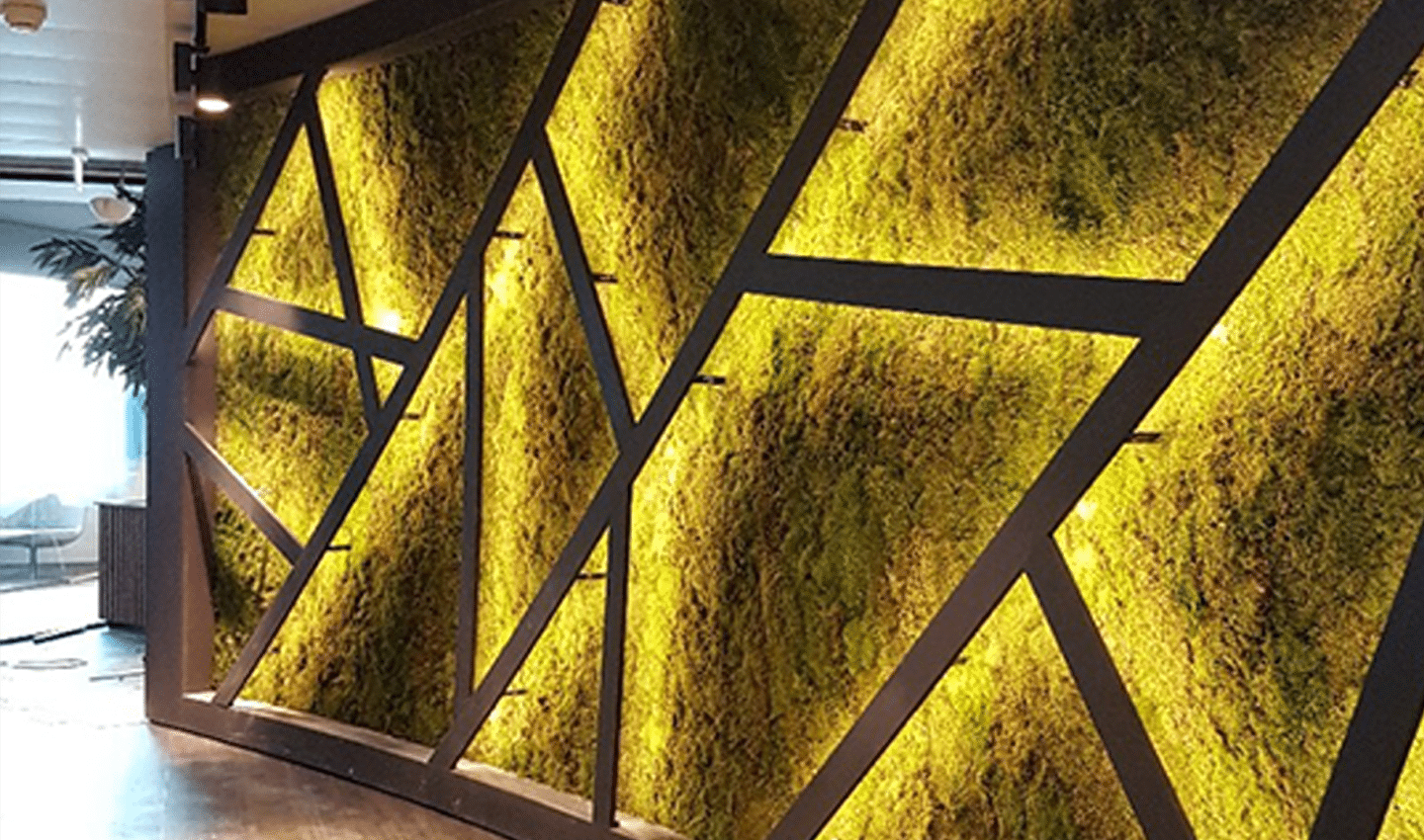 Moss wall art with geometric lighting.