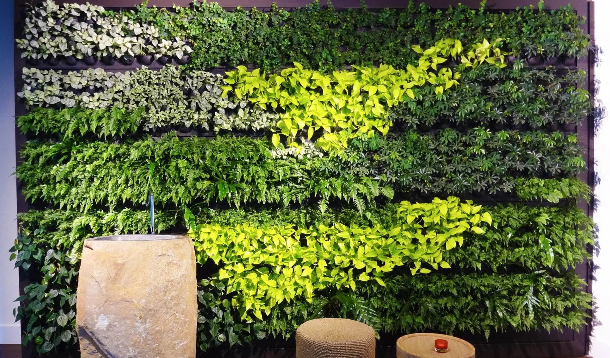 Multicoloured Living Wall (Slide 3)