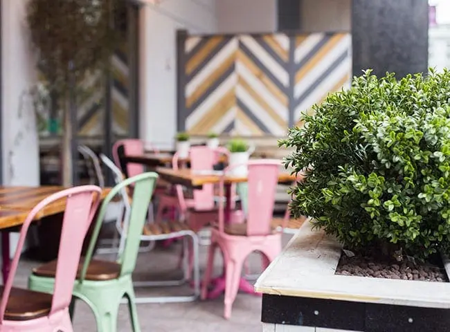 artificial outdoor plants in UK bar