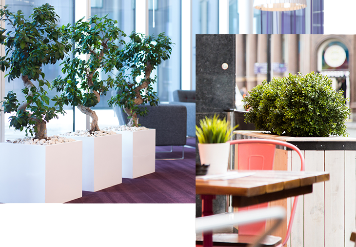 artificial plants for hospitality