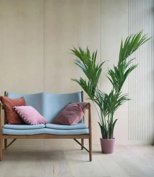 Interior Plant Design