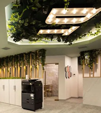 a room with plants and lights
