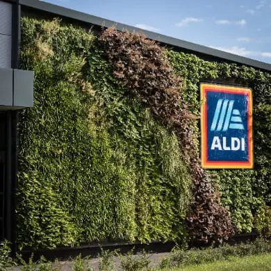 Aldi Living Wall