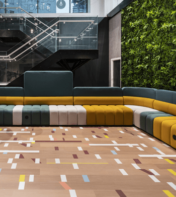 Oasis installed office planting throughout a Gaming Company offices, Leeds.