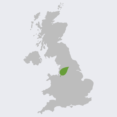 Manchester on an Great Britain Map