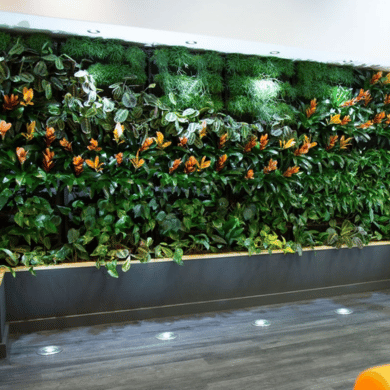Green Walls London