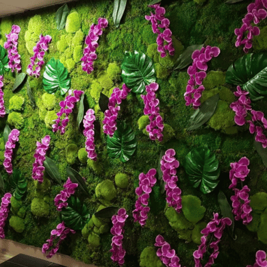 Live Plants 