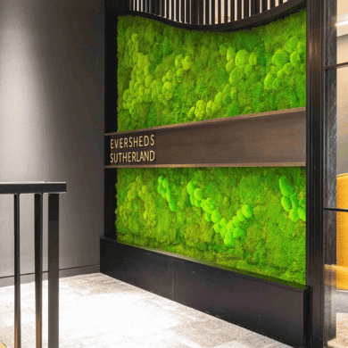 Moss Walls London