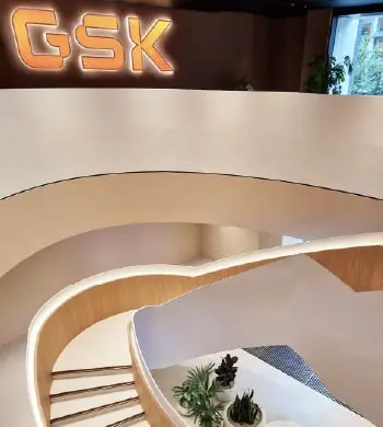 case study gsk PROFILE 01